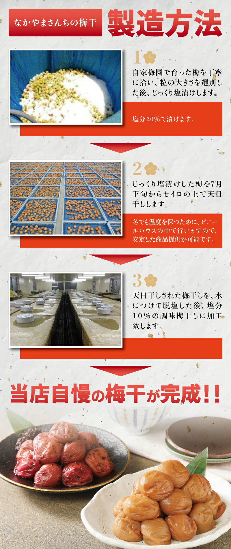 【ふるさと納税】味が選べる紀州南高梅うす塩orかつお【ハチミツ無】塩分10%(1kg)なかやまさんちの梅干梅ウメ南高梅【ご家庭用】