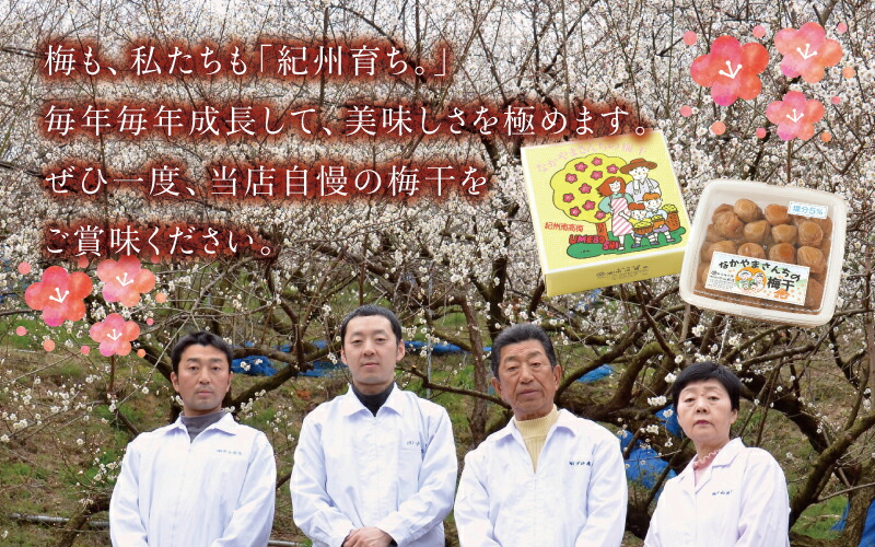 【ふるさと納税】味が選べる紀州南高梅うす塩orかつお【ハチミツ無】塩分10%(1kg)なかやまさんちの梅干梅ウメ南高梅【ご家庭用】