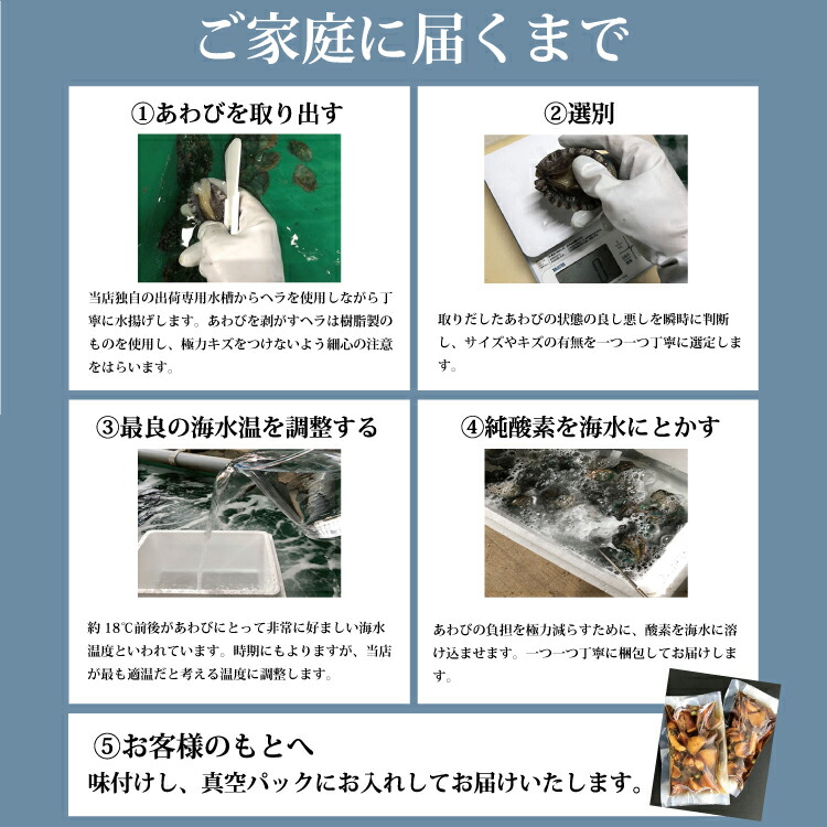 ふるさと納税 和歌山工作煮アワビ 切れ 紀州湯浅金山寺香活用 160g 持参日日任命ok Geo2 Co Uk