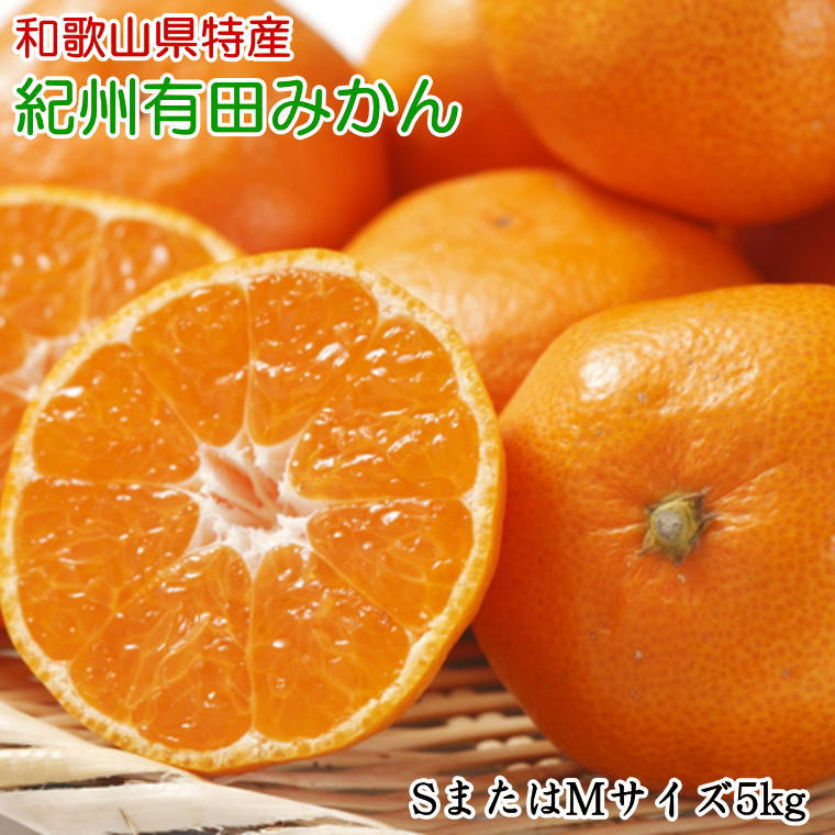 【ふるさと納税】 [秀品]和歌山有田みかん 5kg(SサイズまたはMサイズのいずれか) ※2026年11月中旬～2027年1月中旬頃順次発送予定（お届け日指定不可）｜和歌山県串本町