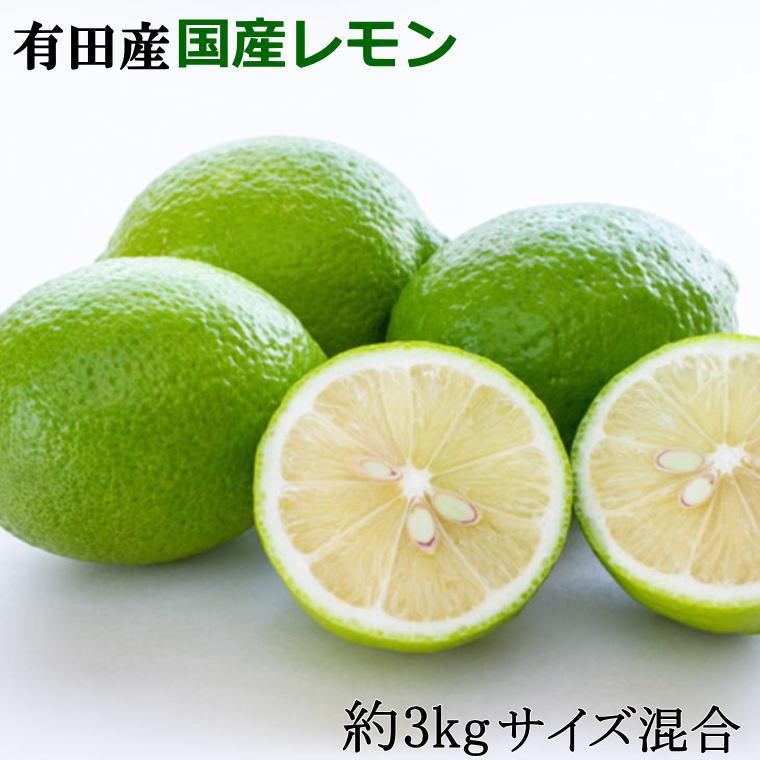 【ふるさと納税】 有田産の安心国産レモン約3kg （サイズ混合）※2025年10月中旬～2026年4月下旬頃に順次発送予定（お届け日指定不可）