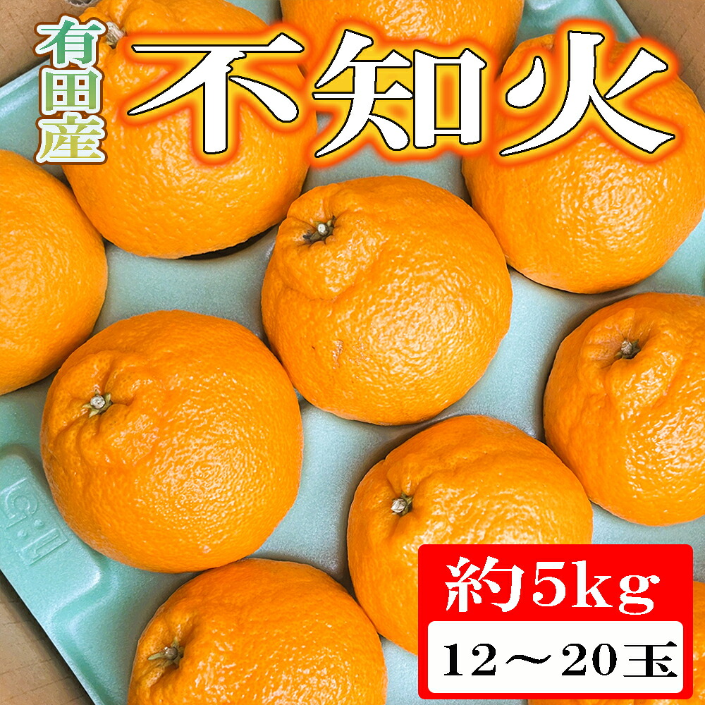 【ふるさと納税】 【濃厚】有田の不知火約5kg（12玉～20玉おまかせ） ※2027年2月中旬～2027年4月中旬頃に順次発送予定（日付指定不可）｜和歌山県串本町