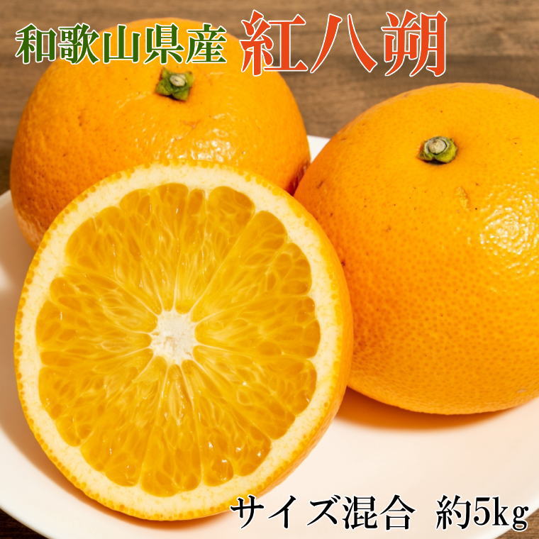 【ふるさと納税】 【2027年発送先行予約】【希少品】和歌山県産紅八朔約5kg（サイズ混合）※2027年1月下旬～2027年2月中旬頃順次発送｜和歌山県串本町