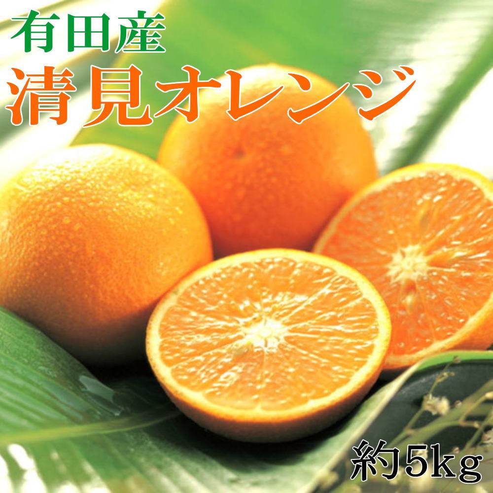 【ふるさと納税】 【濃厚】有田産清見オレンジ約5kg（サイズおまかせ 青秀以上） ※2026年2月中旬～2026年3月中旬頃に順次発送予定（日付指定不可）【tec958】
