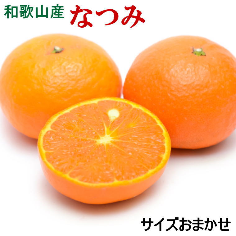 【ふるさと納税】【希少柑橘】和歌山県産なつみ約5kg（S～2Lサイズおまかせ）※2027年4月上旬～2027年4月下旬頃に順次発送（お届け日指定不可）｜和歌山県串本町