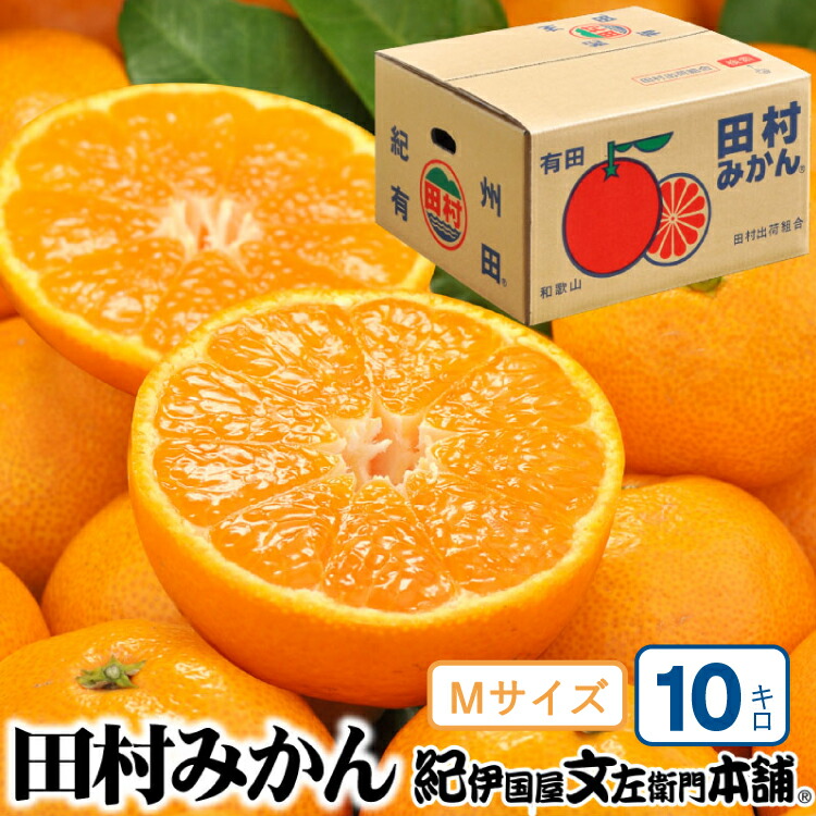【ふるさと納税】 田村みかん 特選ギフト品 10kg【Mサイズ】赤秀/紀州和歌山有田郡湯浅町田村地区産 ◆2025年11月下旬～2026年1月中旬頃に順次発送(お届け日指定不可) 紀伊国屋文左衛門本舗