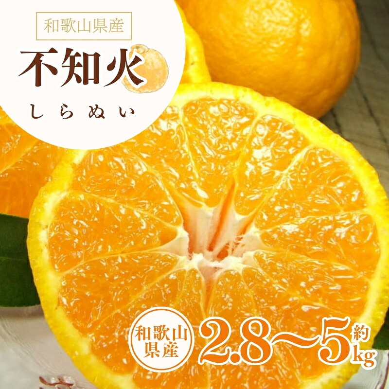 【ふるさと納税】 デコ不知火 約2.8kg 約5kg 秀品 サイズおまかせ 紀伊国屋文左衛門本舗 ※2027年2月上旬～4月上旬頃に順次発送予定(お届け日指定不可)｜和歌山県串本町