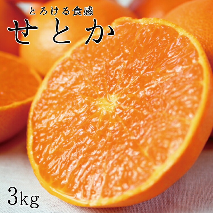 ふるさと納税 とろける食感 ジューシー柑橘 せとか 殆ど3kg 22年次 月球下旬時期 22年 月上旬頃積みだし お届け日予約不可 とろける食感 芳純でジューシーな味わいとミカンの芳香 将に逸品 Pasadenasportsnow Com