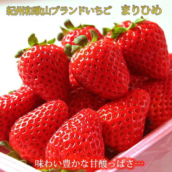 【ふるさと納税】【来シーズン先行予約】 紀州和歌山ブランドいちご「まりひめ」約250g×4P ※2027年3月上旬頃～3月上旬頃に順次発送予定（お届け日指定不可）