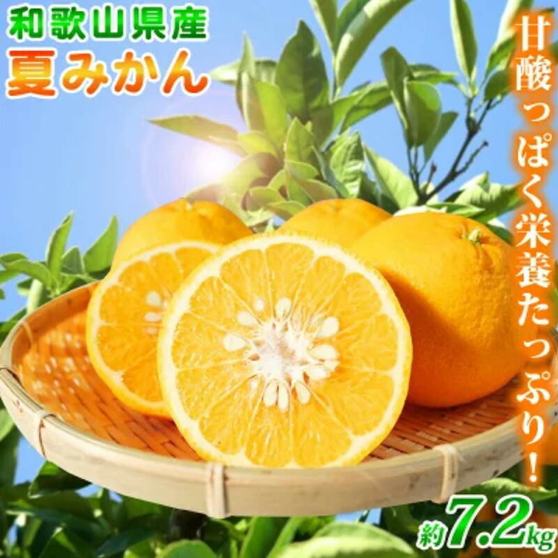 【ふるさと納税】 夏みかん 7.2kg ※2026年4月中旬頃～2026年4月下旬頃に順次発送（お届け日指定不可）