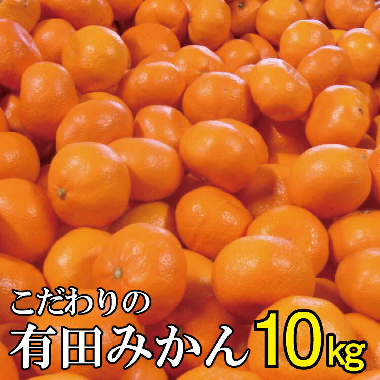 ふるさと納税 農人直送 こだわりの有田みかん 先ず10kg 有機人となり堆肥100 11玉桂差立てる 12月発送どちらか代わりできます 温な気候で育った甘みが力強い ジューシーな果汁が特異性の全国屈指のみかん Pasadenasportsnow Com