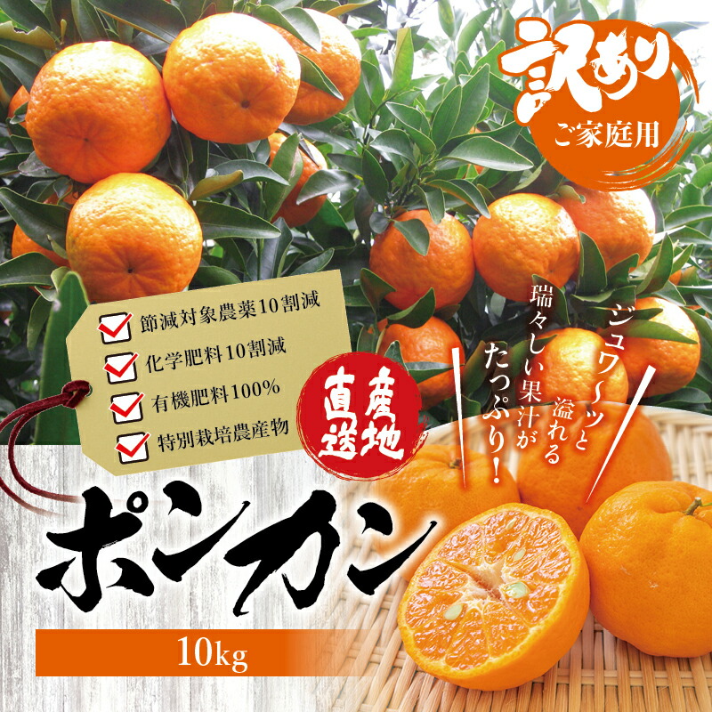 呑気 の意味や読み方は 類語 言い換え表現や特徴と心理も解説 Trans Biz