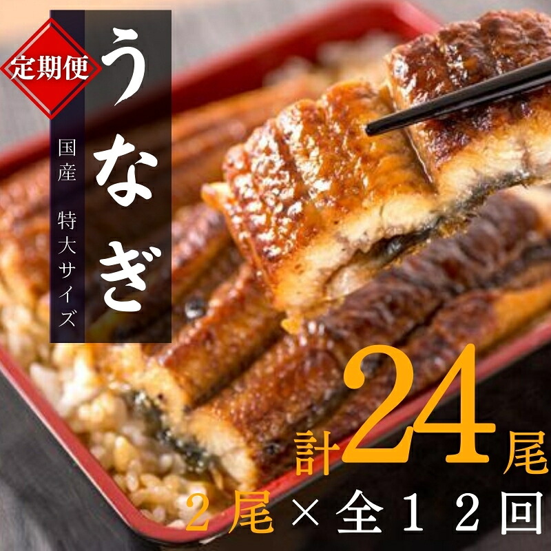 【ふるさと納税】 【全12回定期便】大型サイズ ふっくら柔らか 国産うなぎ蒲焼き 2尾×12回 計24尾 約4080g / うなぎ ウナギ 鰻 国産 蒲焼 蒲焼き たれ 人気 定期便 ふるさと納税