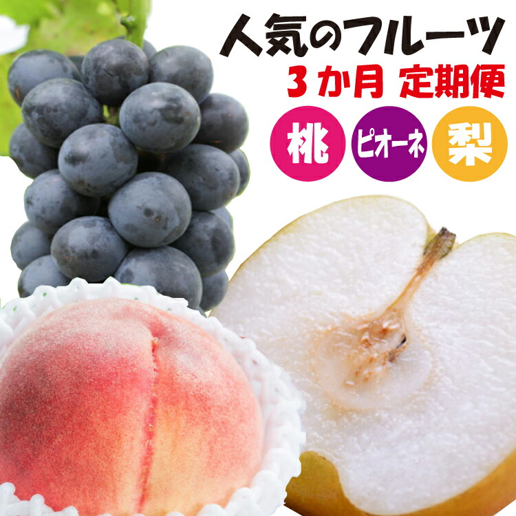 ふるさと納税 3か月定期便利 和歌山独創フルーツ定期便 評判のピンク 西洋梨 ピオーネ 季節のフルーツを毎月お届け Tveskimo Com