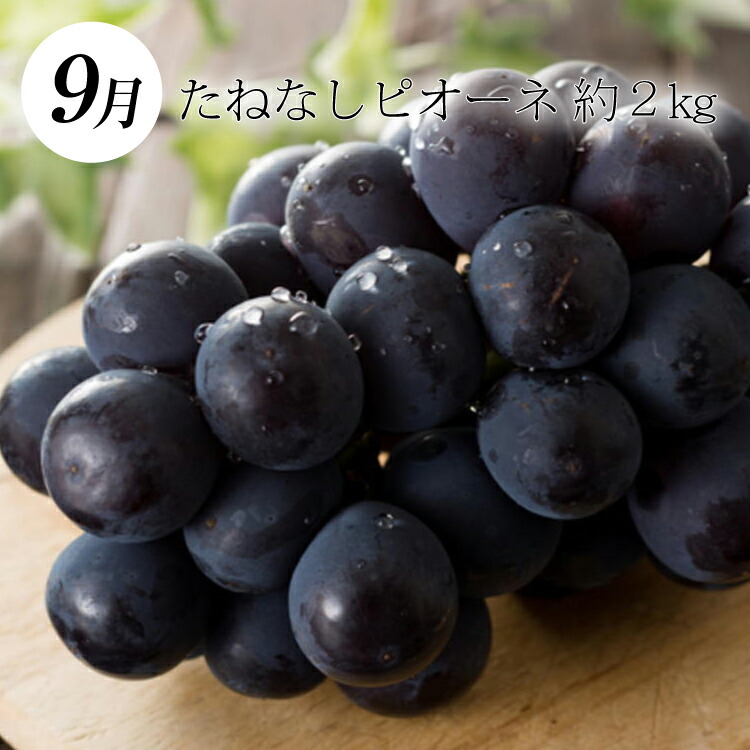 ふるさと納税 3か月定期便利 和歌山独創フルーツ定期便 評判のピンク 西洋梨 ピオーネ 季節のフルーツを毎月お届け Tveskimo Com