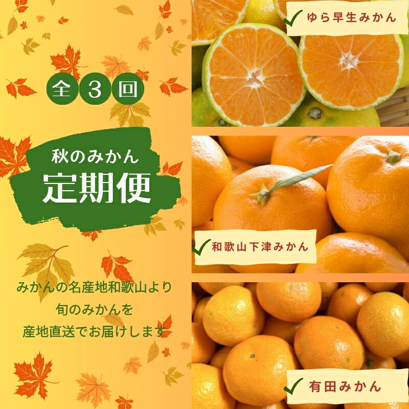【ふるさと納税】 【3か月定期便】みかんの名産地和歌山発!秋のみかん定期便♪ ゆら早生みかん 下津みかん 有田みかん / フルーツ 果物 柑橘 蜜柑 ミカン みかん 温州みかん 旬|和歌山県串本町