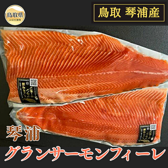 【ふるさと納税】とっとり琴浦グランサーモンフィーレ(総目方約1ｋｇ前後)【数量限定】_T2600143