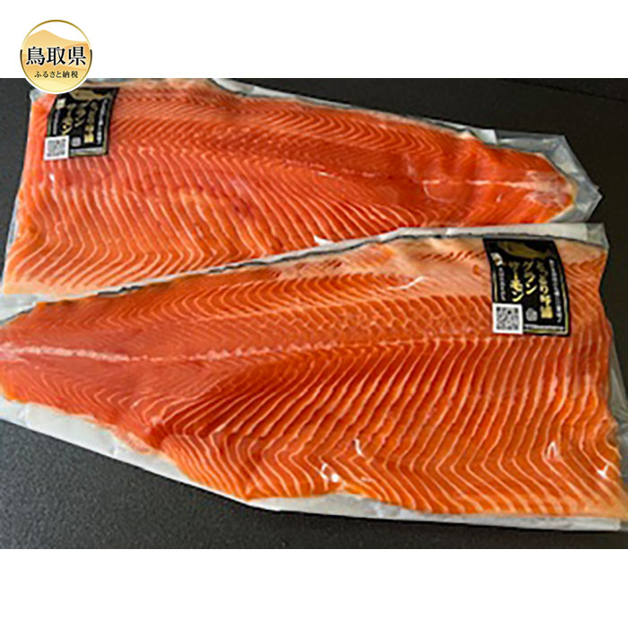 【ふるさと納税】B24-462 琴浦　グランサーモンフィーレ(総目方1kg~1.2kg）【数量限定】 鳥取県 おすすめ サーモン グランサーモンフィーレ 鳥取サーモン グランサーモン 琴浦町産