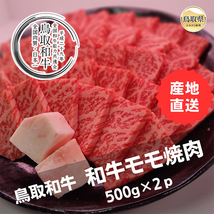 【ふるさと納税】鳥取和牛モモ焼肉 冷凍500g×2_T2600319|鳥取県