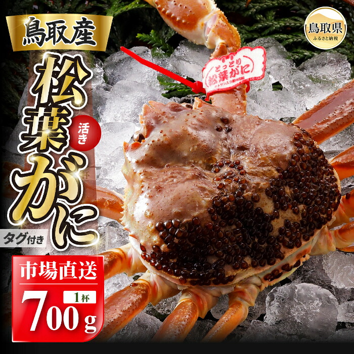 【ふるさと納税】【2026年12月発送】特撰 松葉がに(なま)【ブランドタグ付き】700g超の大きいサイズ 食べ応えあり 特大1杯【期間限定】_T2600608|鳥取県