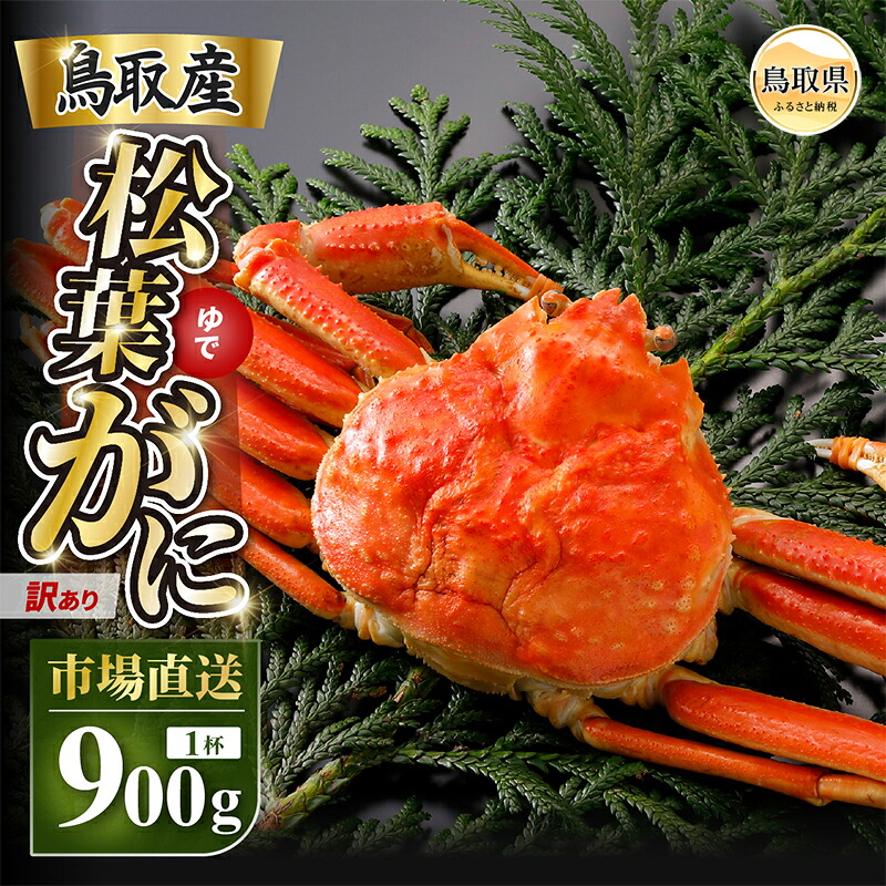 【ふるさと納税】【2026年12月発送】特撰　松葉がに（茹）【訳あり】900g超の大きいサイズ　食べ応えあり　特大1杯【期間限定】_T2600460｜鳥取県
