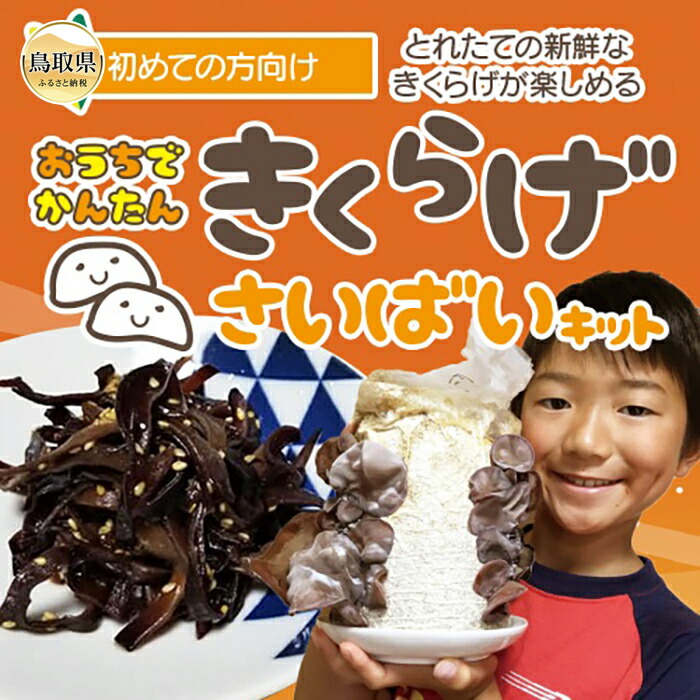 【ふるさと納税】おうちでかんたん!純国産きくらげ栽培キット【期間限定】_T2600241|鳥取県