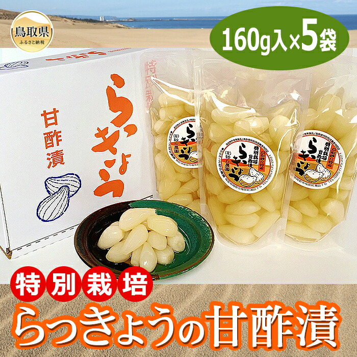 ふるさと納税 鳥取県 - C23-12 東郷湖冷凍しじみ（大粒） 3.5kg 津軽十三湖産 大粒しじみ冷凍1.6kg （冷凍・砂抜き済） - 青森県五所