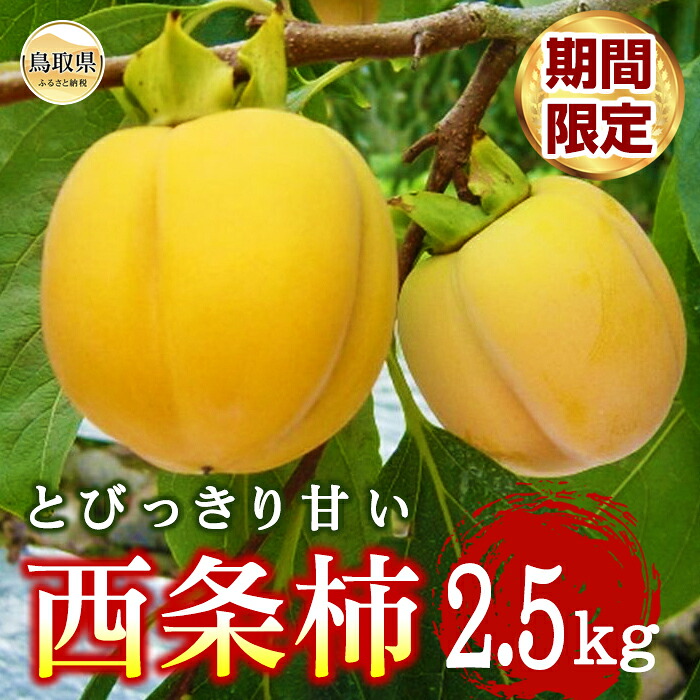 【ふるさと納税】柿(西条柿)【期間限定】_T2600264｜鳥取県