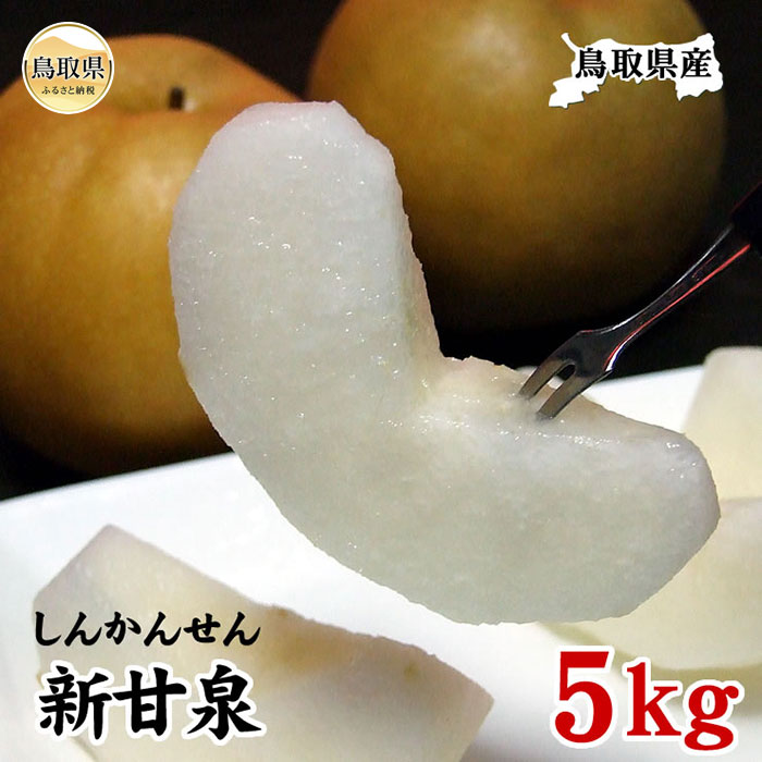 【ふるさと納税】B24-485 新甘泉　5kg（自家用）【鳥取県産】【期間限定】