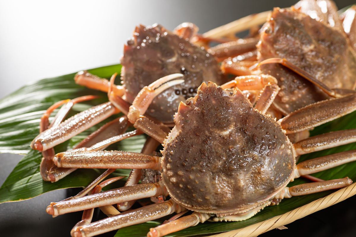 最適な価格 C21 18 鳥取県産活親がに 期間限定 鳥取県 超人気の Vancouverfamilymagazine Com