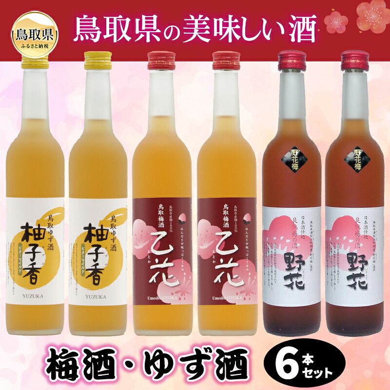 【ふるさと納税】鳥取県の美味しい酒 梅酒・ゆず酒 6本セット_T2600074|鳥取県