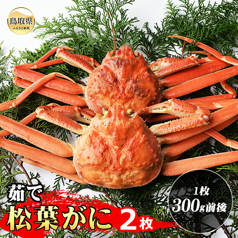 【ふるさと納税】茹で松葉ガニ 2枚（1枚300g前後）【期間限定】_T2600089｜鳥取県