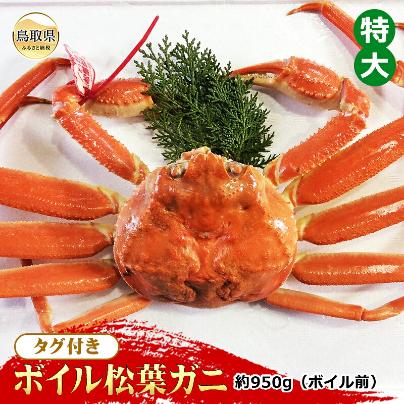 【ふるさと納税】【魚倉】タグ付きボイル松葉ガニ 特大 約950g(ボイル前)【期間限定】_T2600162|鳥取県