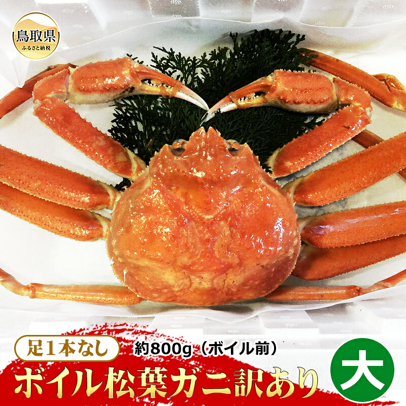 【ふるさと納税】【魚倉】足1本なしボイル松葉ガニ訳あり　大　約800g（ボイル前）【期間限定】_T2600160｜鳥取県