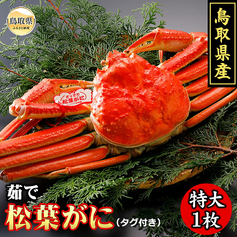 【ふるさと納税】鳥取県産 浜茹で松葉がに 特大(タグ付)【期間限定】_T2600091|鳥取県