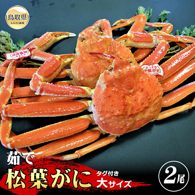 【ふるさと納税】【特撰】茹で 松葉かに タグ付き 大サイズ2尾入【期間・数量限定】_T2600141|鳥取県