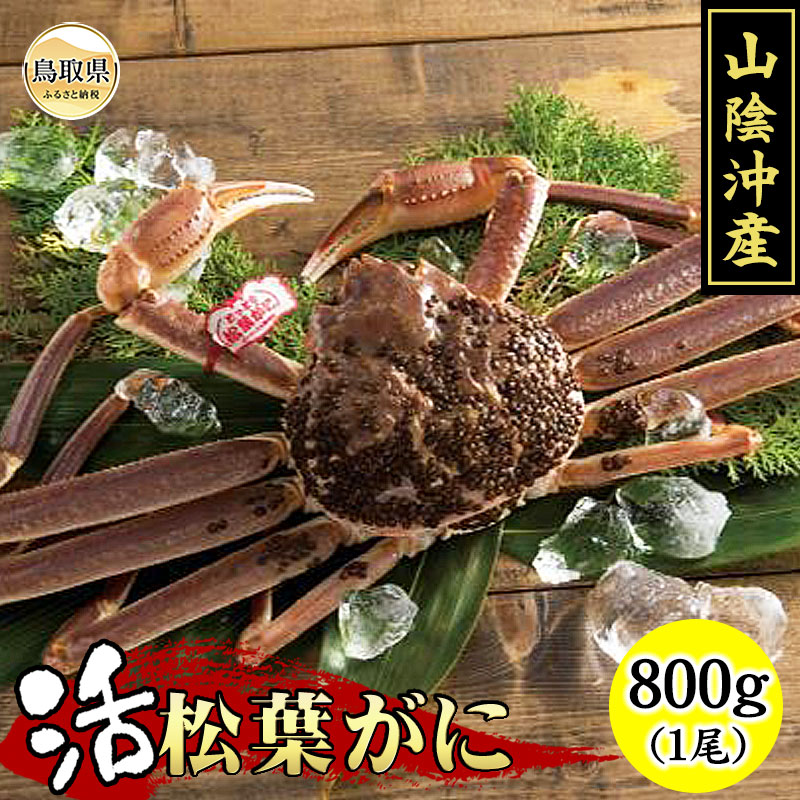 【ふるさと納税】活ずわいがに松葉がに【期間・数量限定】_T2600304|鳥取県