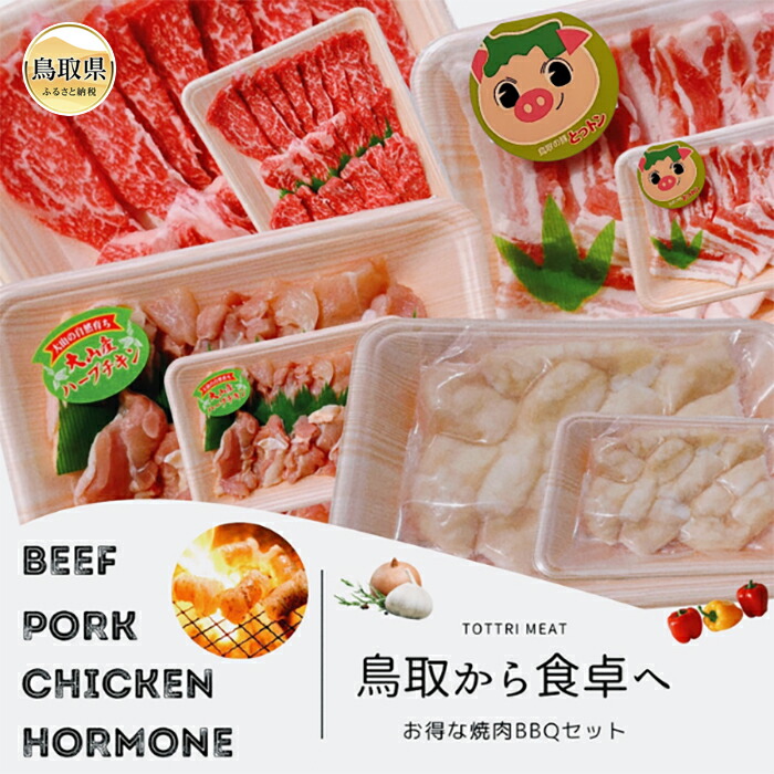 【ふるさと納税】と24-010 鳥取県産　焼肉セット 2.4ｋｇ (６～１０人前） ホルモン 丸腸 牛肉 豚肉 鶏肉 バーベキュー 鳥取産 BBQ ファミリーセット