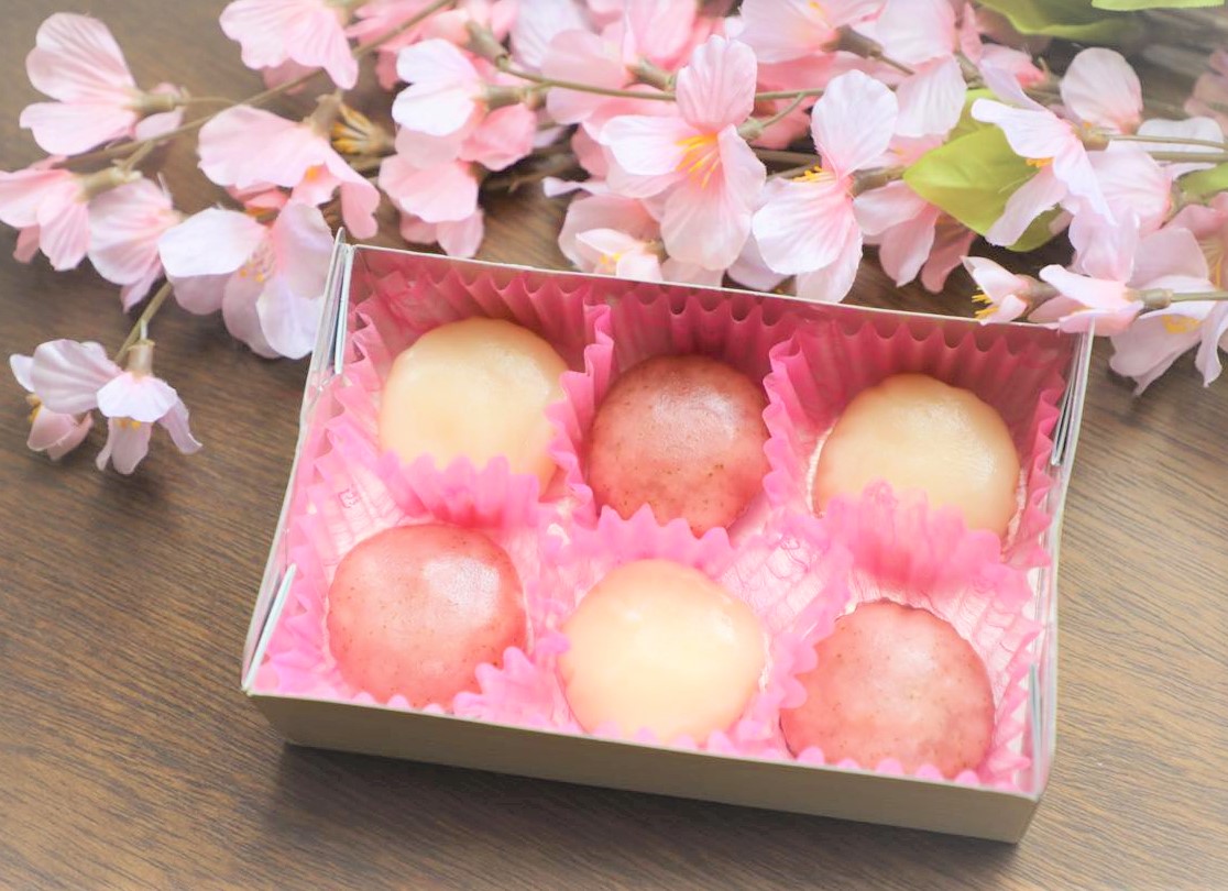 限定桜アンコロ ふるさと納税 鳥取もちがせ名物 セット 鳥取県鳥取市 501