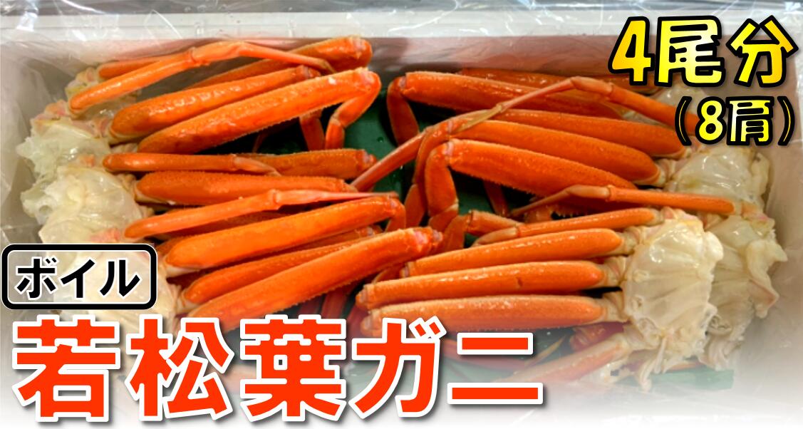 953ボイル若松葉ガニ ４尾分８肩 足１〜２本なし含む 鳥取 かに 蟹 期間限定 ベビーグッズも大集合