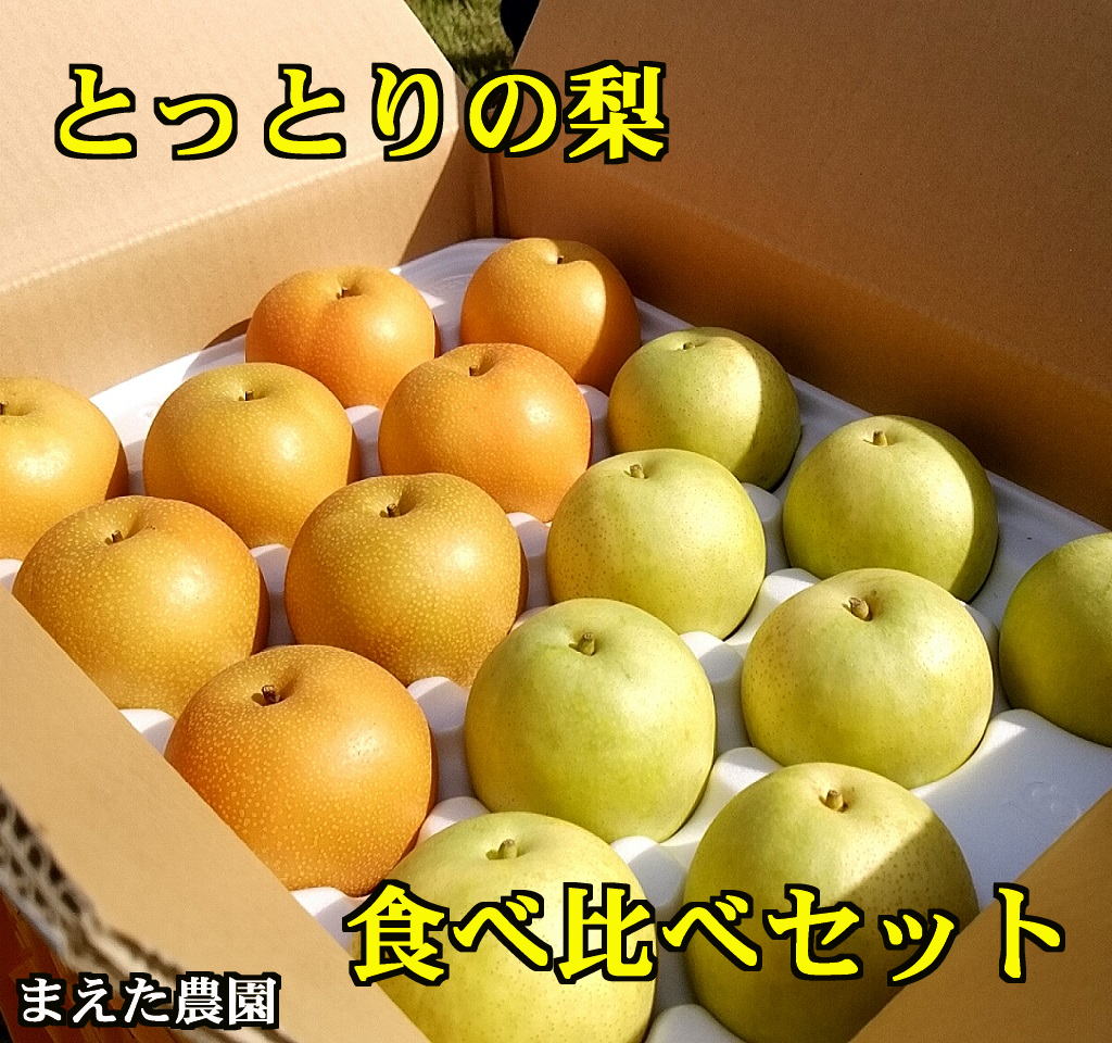 楽天市場】【ふるさと納税】040 王秋梨 ５キロ（さんこうえん） 鳥取 梨 なし 期間限定 : 鳥取県鳥取市