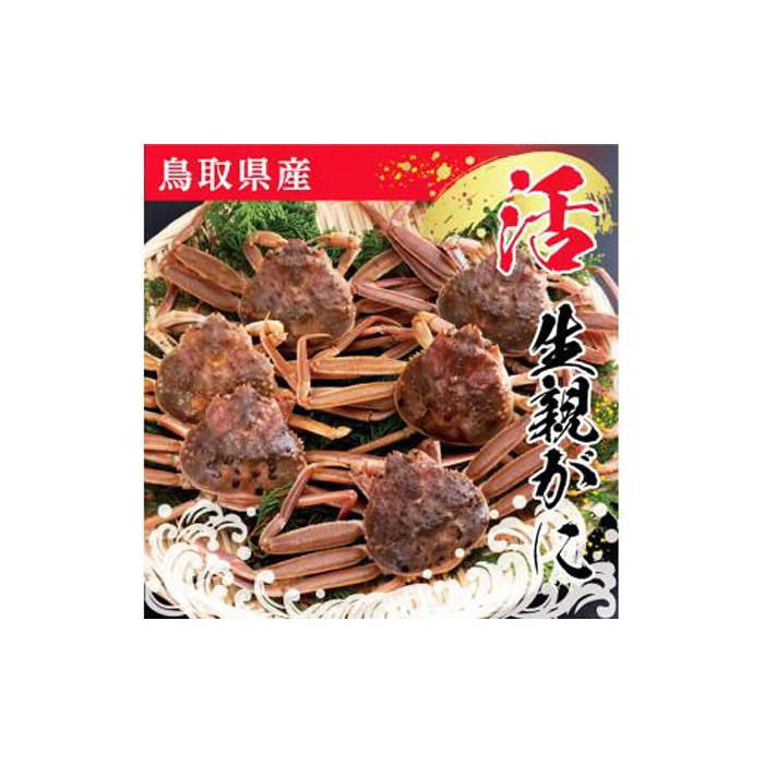 【ふるさと納税】鳥取県産 活親がに 大(訳あり)【中村商店】 | 国産 ズワイガニ 松葉ガニ セコガニ カニ 蟹 かに 生 カニ鍋 かに鍋 鍋 かにみそ 期間限定 送料無料 鳥取県 鳥取市 11,100円