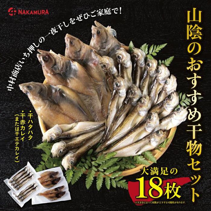 【ふるさと納税】山陰のおすすめ干物セット【中村商店】 | ハタハタ カレイ 日本海 鳥取