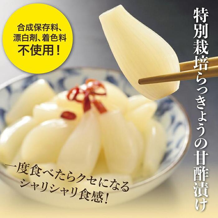 【ふるさと納税】特別栽培らっきょうの甘酢漬（5袋セット） | 鳥取 らっきょう 送料無料 らっきょ　ラッキョウ 辣韭 おつまみ 肴 ご飯のおとも カレー 野菜 旬 漬物 漬け物 国産 鳥取産 鳥取砂丘 らっきょう漬け