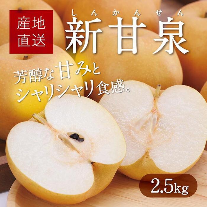 【ふるさと納税】新甘泉 2.5kg【たにがみ農園】 | 梨　鳥取　なし　送料無料 期間限定
