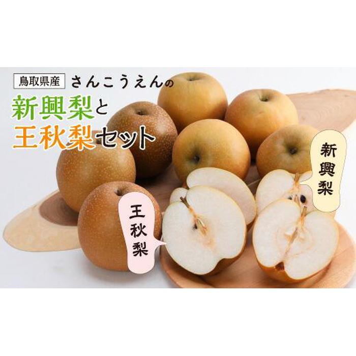【ふるさと納税】新興梨・王秋梨詰め合わせ 5kg箱 (玉数は合わせて約6～12玉) | 梨 なし 詰め合わせ 送料無料