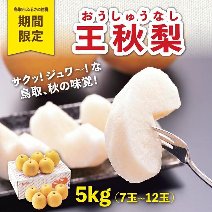 【ふるさと納税】王秋梨 5kg【やぶやフルーツガーデン】