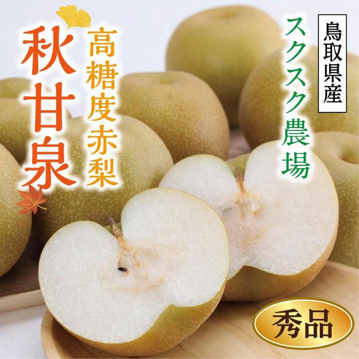 【ふるさと納税】秋甘泉 秀品 2.5kg箱【スクスク農場】 | 鳥取 梨 なし 送料無料