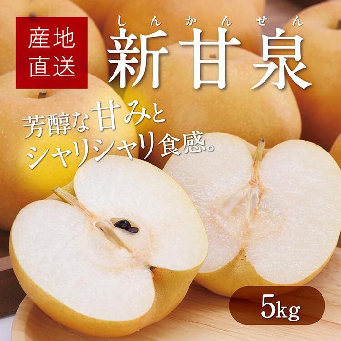 【ふるさと納税】新甘泉 5kg【たにがみ農園】 | 鳥取 なし 送料無料 期間限定