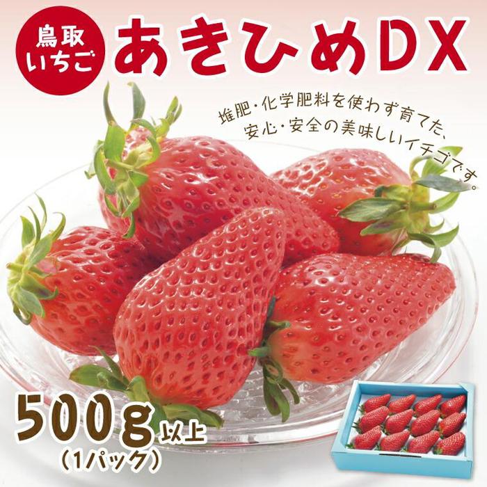 【ふるさと納税】あきひめDX 500g 鳥取いちご【とみハウス】 | 送料無料
